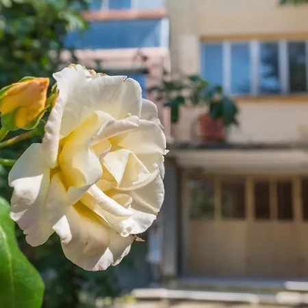 Apartmán Private In Chayka Near The Sea Garden